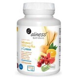 Vitamine C 1000 mg met Zink PLUS 100 capsules VEGE Aliness