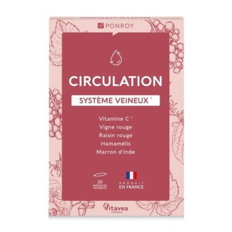 Circolazione - per facilitare i piedi 20 fiale Labolatoires Yves Ponroy