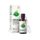 Adaptogenen - extracten van Bacopa, Centella, Ashwagandha en Frankincense (50 ml) Aura Herbals