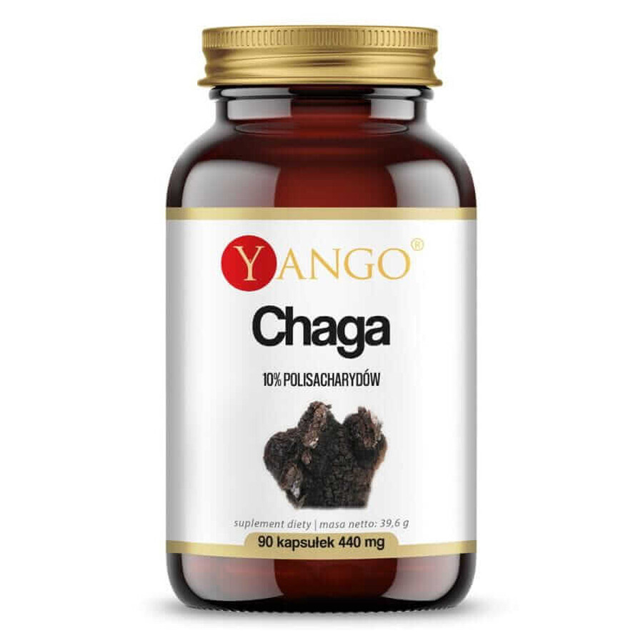 Chaga-extract 10% polysacharide (90 capsules) YANGO