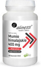 Himalaya mumie 400 mg 90 plantaardige capsules Aliness