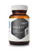 SHILAJIT - Mumio - fulvozuurextract (90 capsules) Hepatica