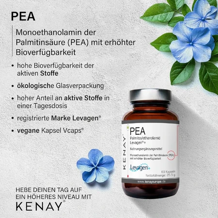 PEA Palmitoyl ethanolamide Levagen 60 gélules Kenay