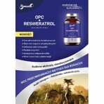 OPC + Panaseus Resveratrol (430mg) 50 Kapseln