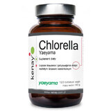 Chlorella Yaeyama (gebroken celwanden) 120 tabletten Kenay