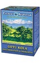 Ayurvedische thee GOTU KOLA Degeneratie van hersenfunctie 100g Everest Ayurveda