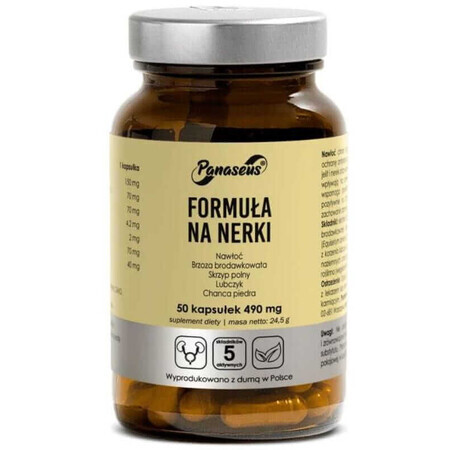 Formula rinichilor 50 capsule Panaseus