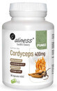 Cordyceps 400mg (90 capsules) Aliness