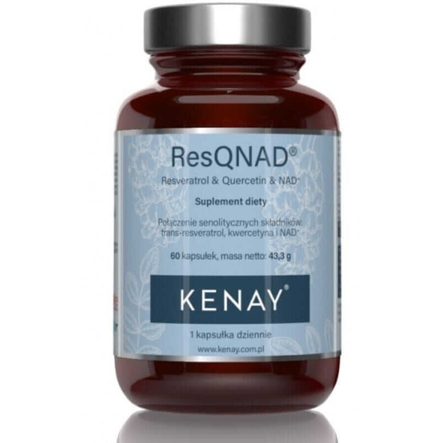 ResQNAD Resveratrol & Quercetin & NAD+ (resveratrol, quercetin, NAD) (60 capsule) Kenay