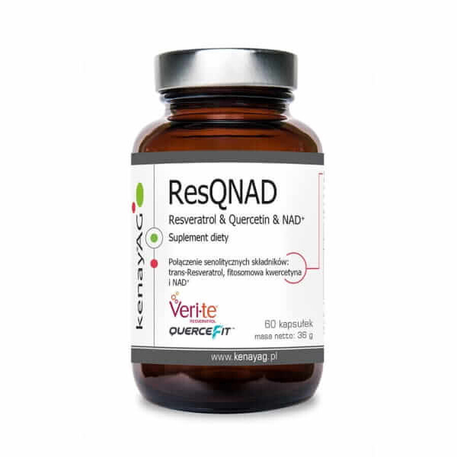 ResQNAD Resveratrol & Quercetin & NAD+ (resveratrol, quercetin, NAD) (60 capsule) Kenay