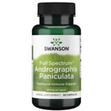 Andrographis Paniculata 400 mg - 60 cápsulas Swanson