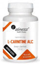 L-carnitine ALC carnitine 500mg 100 caps, Aliness