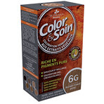 Color & Soin vopsea de păr (blond auriu închis) 6G 135ml