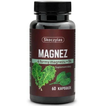 Skoczylas Magnez 4 formy + B6, szpinak i jarmuż, 60 kapsułek: ceny i cechy