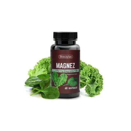 Skoczylas Magnez 4 formy + B6, szpinak i jarmuż, 60 kapsułek: ceny i cechy