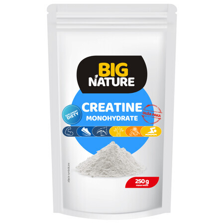 Creatinemonohydraat 250 g Big Nature