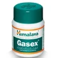 Gasex Verdauung 100 Tabletten Himalaya