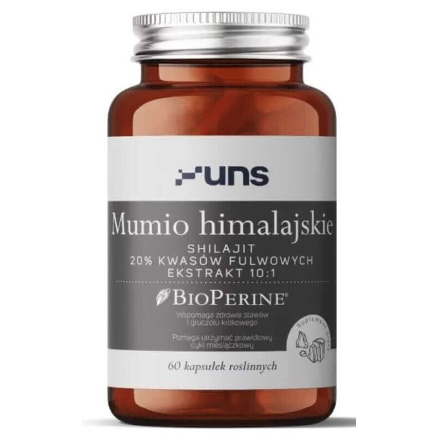 Himalaya mummie 60 capsules UNS