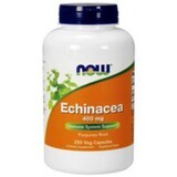 NOW Foods Echinacea (Echinacea) 400mg - 250 capsules