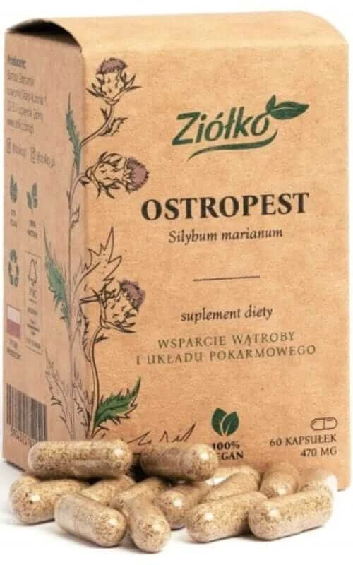 Distel - Ondersteuning voor Lever en Spijsvertering - 60 Kruidencapsules