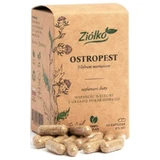 Thistle - Support for Liver and Digestive System - 60 Herbs capsules