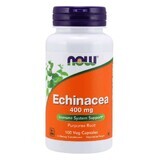 NOW Foods Echinacea (Echinacea) 400mg - 100 capsules