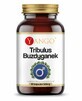 Tribulus foelie 540mg 90 capsules, Yango