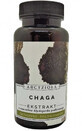 Chaga 50g Archangelis Roxanthus en vrienden