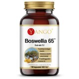 Boswellia 65 (65% boswellinezuren)90 capsules, Yango