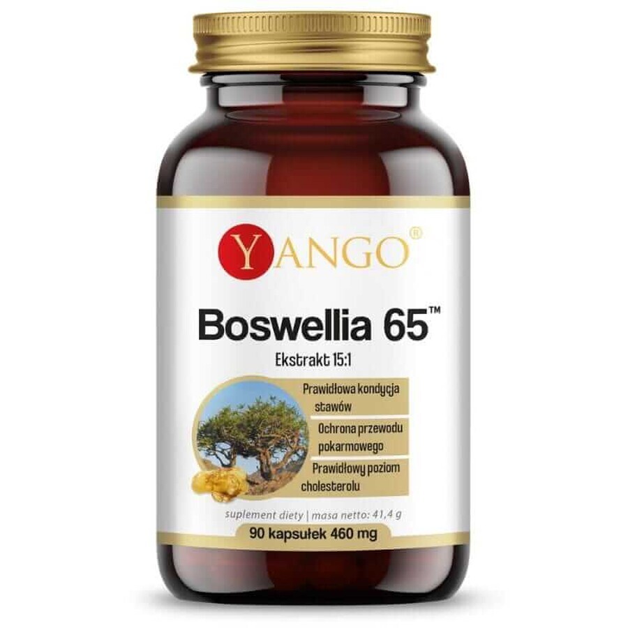 Boswellia 65 (65% acizi boswelici)90 capsule, Yango