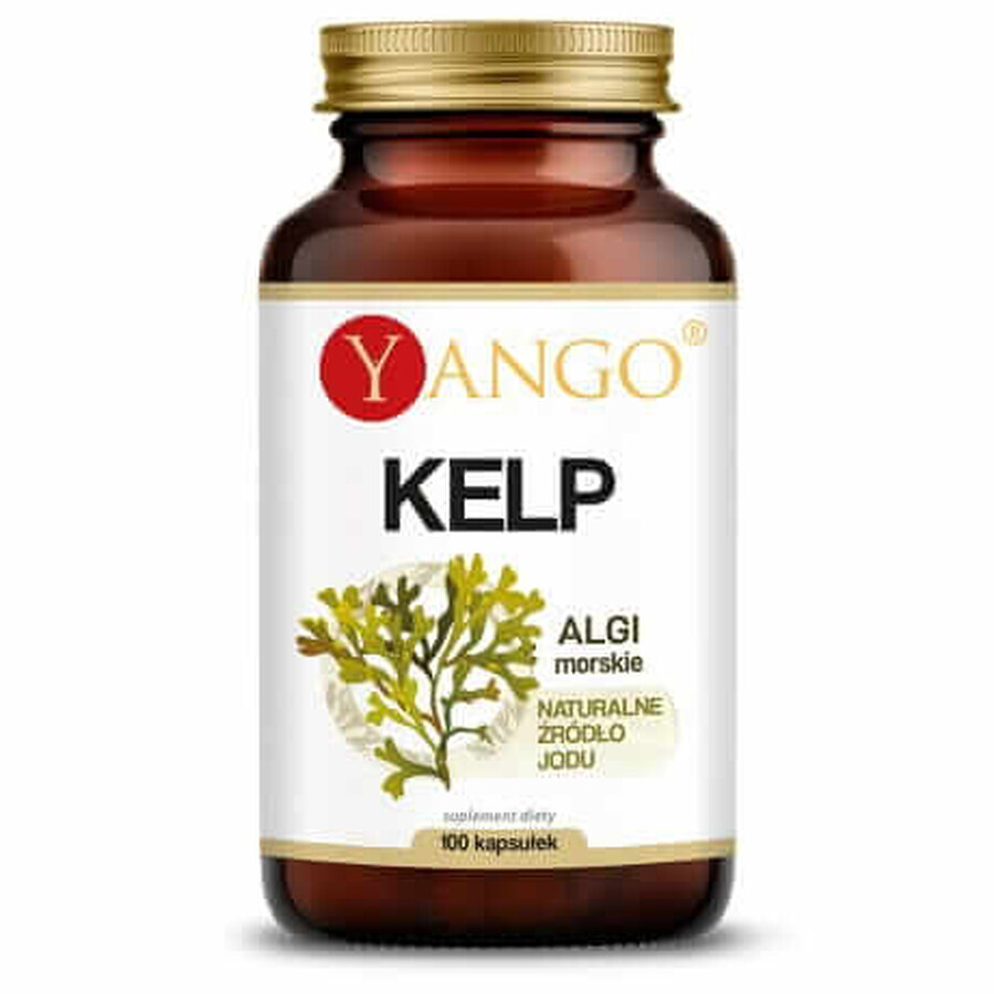 Kelp - Seetang - Jod (100 Kapseln), Yango