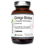 Ginkgo Biloba met Ginkgoselect fytosoom 60 capsules, Kenay