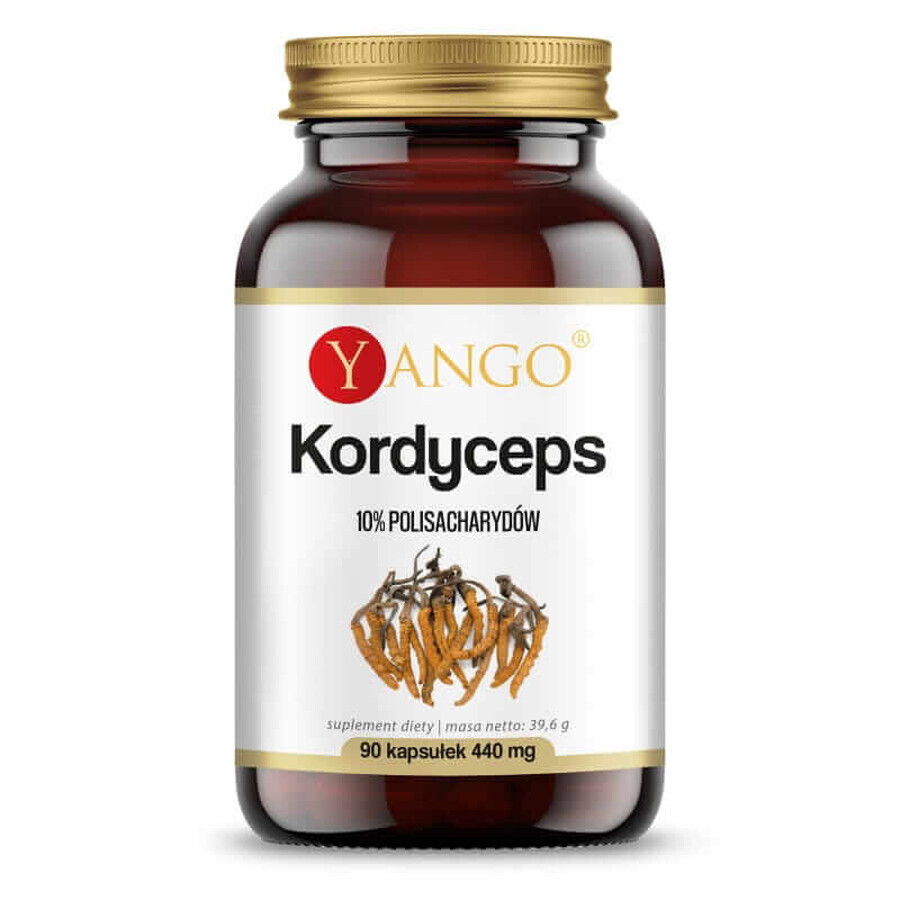 Cordyceps extrait chinois 10% polysaccharide 90 gélules Yango