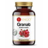 Granaatappelschors extract 50:1 ( 40% ellaginezuur ) 90 capsules YANGO