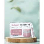 Kollagen-Intercell 2500 mg, 30 sachets, Mito-Pharma