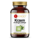 Silicium - Akkerpaardenstaartextract - 90 capsules, Yango