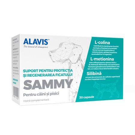 Suplementos para perros y gatos Sammy, 30 cápsulas, Alavis