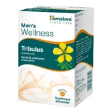 Tribulus Wellness, 60 filmomhulde tabletten, Himalaya India