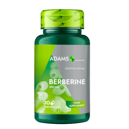 Berberina, 500 mg, 90 cápsulas, Adams Supplements