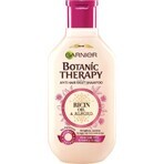 Garnier BOTANIC THERAPY RICINUS OIL SHAMPOO 1×250 ml, șampon