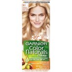 Garnier Color Naturals permanente Haarfarbe 4 Medium Brown 1×1 Stück, Haarfarbe