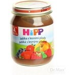 HiPP Suplemento de fruta Manzanas con bayas 1×125 g, suplemento de fruta para niños