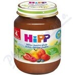 HiPP Suplemento de fruta Manzanas con bayas 1×125 g, suplemento de fruta para niños