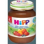 HiPP Suplemento de fruta Manzanas con bayas 1×125 g, suplemento de fruta para niños