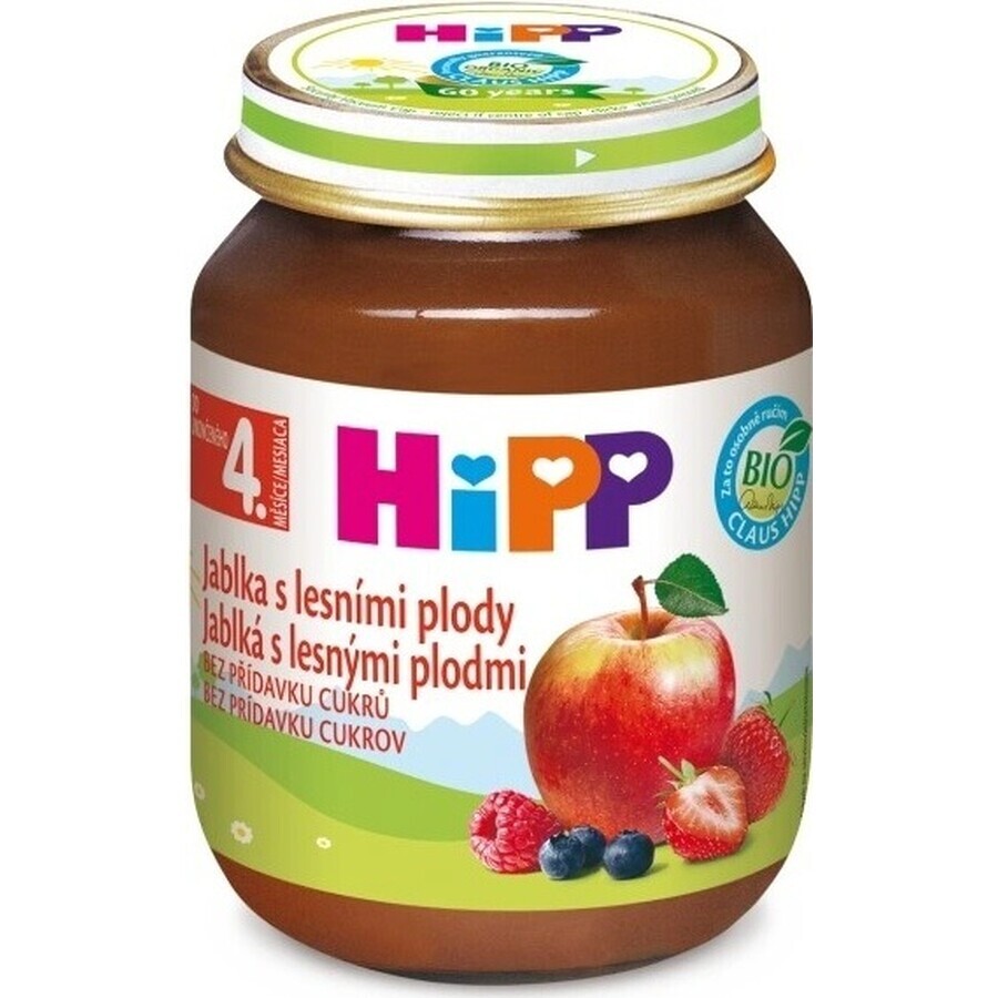 HiPP Suplemento de fruta Manzanas con bayas 1×125 g, suplemento de fruta para niños