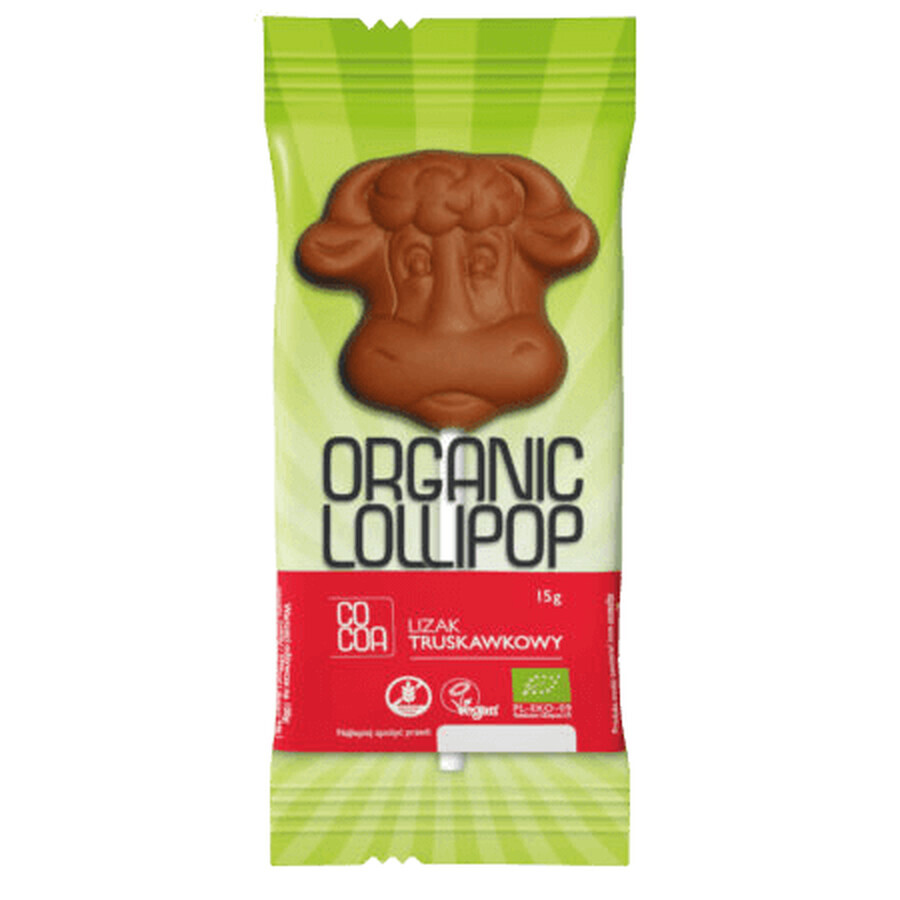 Chocoladelolly met aardbeien eco,15 g Cacao