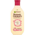 Garnier TERAPIA BOTANICA OLIO DI RICINO SHAMPOO 1×450 ml, shampoo