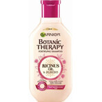 Garnier TERAPIA BOTANICA OLIO DI RICINO SHAMPOO 1×450 ml, shampoo