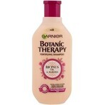 Garnier TERAPIA BOTANICA OLIO DI RICINO SHAMPOO 1×450 ml, shampoo