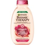 Garnier TERAPIA BOTANICA OLIO DI RICINO SHAMPOO 1×450 ml, shampoo